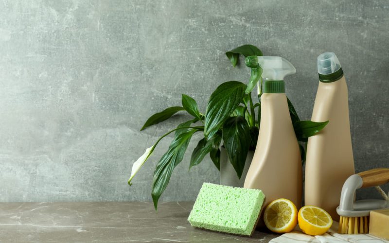 Panamá: la importancia de la limpieza profesional en bodegas y almacenes